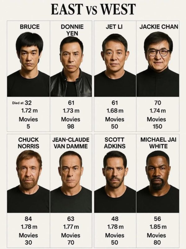 🎬东西方电影巨星身高作品大揭秘🎬-蓬勃资源分享网